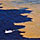 Harmful Algae & Red Tides