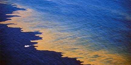 Hamrful Algae and Red Tide