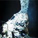 Voyage to the Deep