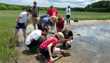 Undergraduate Programs