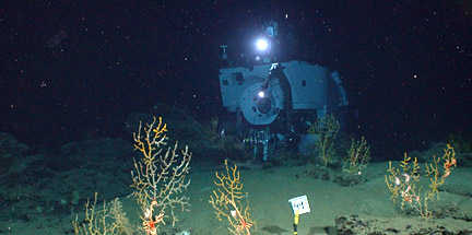 Alvin in Gulf of Mexico