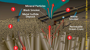 Hydrothermal Circulation