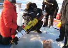 The Icebot: Flying Blind under Arctic Ice