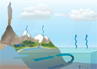 The Water Cycle