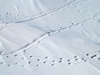 penguin prints in the snow