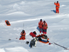 penguins visiting expedition