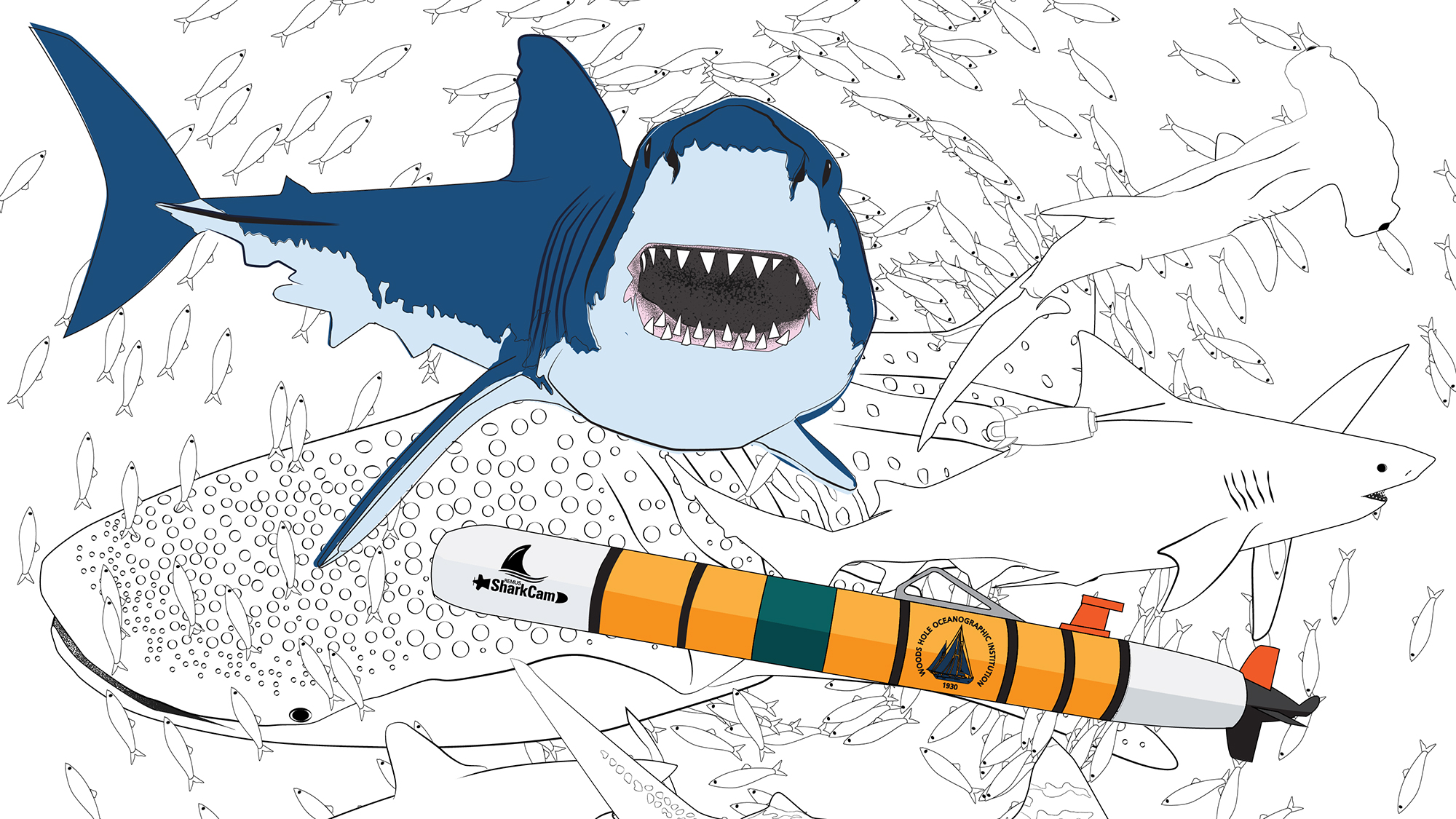 whoi coloring page