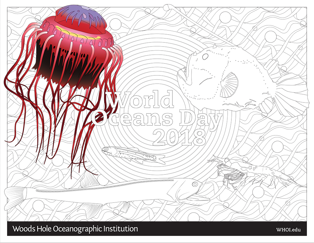 whoi coloring page