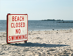 Visit the WHOI Beach Closure topic