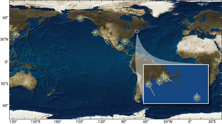 oil spill map