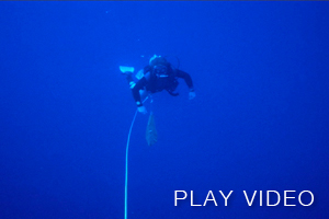 blue water diving