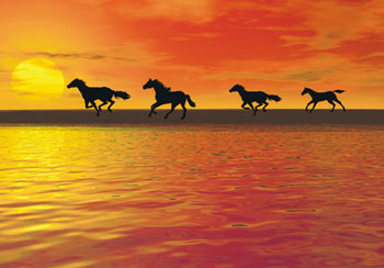 Did humans kill off ancient wild horses? Photo courtesy of Dreamstime.com