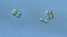 sL6478Kdiatom