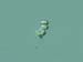 sl101diatom
