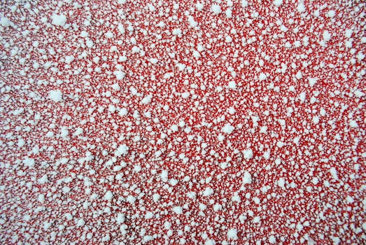 Meringue