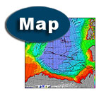 Map icon