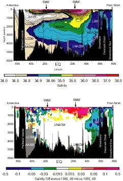 [Vertical Sections]