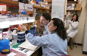 researchers