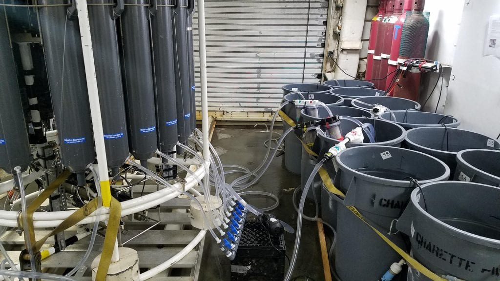 The first step in measuring radium is to filter many gallons of water from each sampling site into storage barrels.