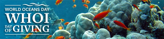 world ocean day contest