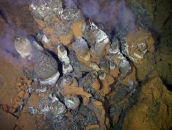 vents_Manus_Basin