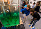 WHOI Ocean Ventures Funds