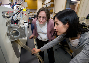 WHOI marine chemist Elizabeth Kujawinski (left) and research associate Melissa Kido Soule monitor a mass spectrometer that can detect and identify molecules in low concentrations within a mixture of compounds