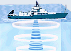 Sonar Single Beam