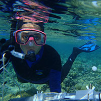 why the MIT/WHOI Joint Program