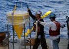 Collecting Deep-sea Sediment Flux