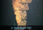 How much oil?