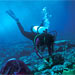 Diving Into Climate History