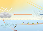 How Tiny Ocean Plants Help Make Clouds