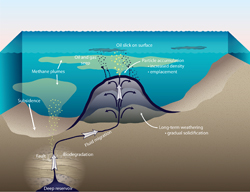 Schematic diagram highlighting the formation of an asphalt volcano and the associated release of oil and methane to the surrounding environment. 