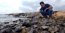 Chris Reddy, a marine chemist at the Woods Hole Oceanographic Institution, examines and collects oil-covered rocks at Nyes Neck in West Falmouth, Mass.