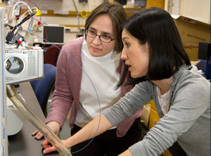 Liz Kujawinski, standing, and colleague Melissa Kido Soule work on oil dispersant study in Kujawinski's lab.