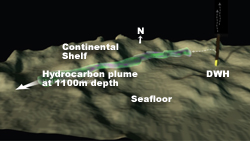 This illustration shows a plume of hydrocarbons emanating from the Deepwater Horizon oil spill. The plume was identified using the autonomous underwater vehicle (AUV) Sentry, instrumented with a TETHYS mass spectrometer. The vehicle made numerous criss-cross penetrations to map the parameters of the 1,100-meter-deep plume. Woods Hole Oceanographic Institution (WHOI) scientists, who conducted the NSF-funded work in June 2010, report the plume they measured was 1.2 miles wide and 650 feet high. WHOI developed and operates Sentry.