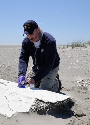 Chris Reddy sampling a piece of flotsam on a Gulf beach