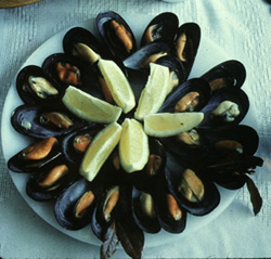 mussels