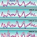 The El Ni?o/Southern Oscillation Phenomenon