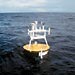 Seeding the Oceans with Observatories