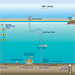 Seafloor to Surface to Satellite to Shore