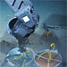 Seeding the Seafloor with Observatories