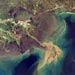 The Grass is Greener in the Coastal Ocean