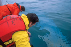 Bob Nelson and Chris Reddy collect water samples and oil ??A?pancakes??A? from Buzzards Bay