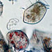 A Fatal Attraction for Harmful Algae