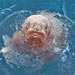 abandoned walrus pup in the arctic