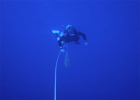Blue Water Diving