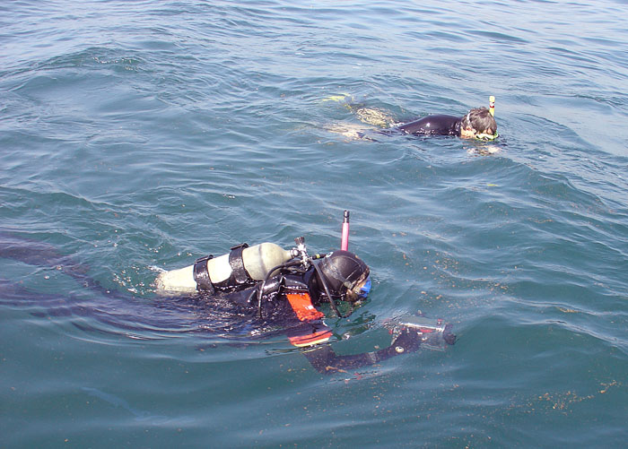 oil leaking from the seafloor