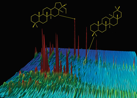 Everyone Chromatogram Tells a Story